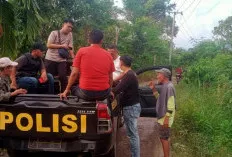 Perempuan di Empat Lawang Hilang Saat ke Kebun, Polisi dan Warga Lakukan Pencarian