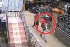 Waspada! Jelang Iduladha Marak Aksi Pencurian Hewan Kurban 