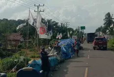Tempat Tinggal Terendam Banjir, Terpaksa Ngungsi di Jalintim, Mulai Jatuh Sakit 