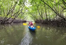 Menjelajahi Ao Thalane, Surga Kayaking di Krabi yang Wajib Masuk Daftar Liburan Anda