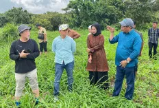  Ikon Wisata Baru: Bupati Lahat Tinjau Potensi Strategis Danau Batu Sebagai Destinasi Terpadu