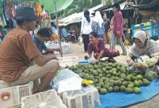 Musim Kuini Tiba, Pedagang Jual Hingga Ratusan Kilo per Hari