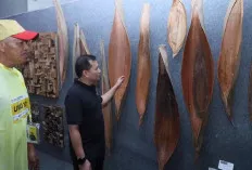 Pemprov Sumsel Ajak ILUNI UI Untuk Sumbangkan Ide Dan Inovasi 