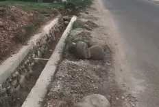 Pembangunan Saluran Air, Putuskan Jaringan PDAM