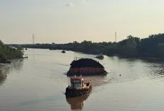 Pasca Ditabrak Tongkang Batu Bara, Feeder Jembatan Sungai Lilin Belum Diperbaiki