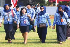 Ini 5 Tuntutan Disampaikan Aliansi Honorer ke BAM DPR RI 