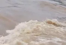 Hujan Lebat Sebabkan Banjir, Limbah Minyak Illegal di Hindoli Mengalir ke Sungai, DLH Muba Dimana?