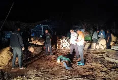 Pria Banyuasin Tewas Dianiaya, Polres Ogan Ilir Buru Pelaku Berinisial S.A.