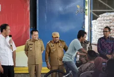 Presiden Jokowi Pastikan Ketersediaan Stok Beras di Gudang Bulog Lubuk Linggau