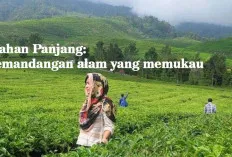 Liburan Keluarga yang Tak Terlupakan di Alahan Panjang Dengan Pemandangan Alam yang Menakjubkan