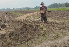 Masuk Musim Tanam, Petani Was-was Pupuk Langka