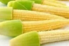 Jagung Muda: Si Kecil Kaya Manfaat untuk Kesehatan
