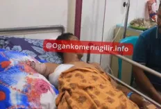 Warga Diterkam Buaya Saat Mengambil Air, Tangan Putus dan Dada Luka