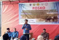 Langsung Turun Gunung, Penanganan Wabah Penyakit pada Kerbau di Pampangan 