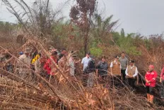 Menteri LHK Monitoring Langsung Penanganan Karhutla 