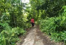 Saat Melintas, Para Petani Merasa Terganggu, Ternyata oleh Ini Penyebabnya