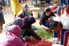 Wow, Harga Sih Pedas Makin Tinggi, Dampak Musim Hujan 