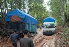 Akses Jalan Rusak, Kendaraan Jenis Truck Tidak Bisa Melintas