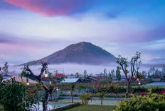 Kintamani: Keindahan Danau Batur dan Gunung Agung
