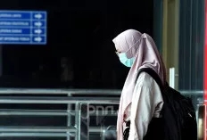 Waduh!Ada 4 Honorer Gagal Kantongi NIP PPPK Tahap 1