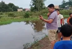 Warga Desa Jermun Resah, Buaya Besar Muncul di Sungai dan Mengancam Keselamatan  