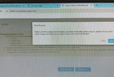 Usia Mendekati Pensiun, Harapan Menjadi PPPK Makin Tipis, Akun Honorer Databas Terkunci 