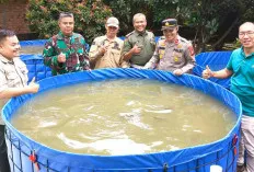  Cegah Stunting di Kecamatan Merapi Timur, Sejalan dengan GSMP, Buat Bioflok Ikan Patin 