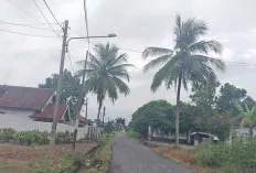 Dua Bulan Warga Jalan Malian Burhan Kelurahan Tanjung Rancing Keluhkan Lampu Jalan Padam