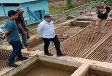 Tokoh Pemuda Desak Audit BUMD Banyuasin, Ke Mana Perginya Dana Hibah?