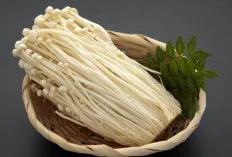 Mengungkap Manfaat Makan Jamur Enoki untuk Kesehatan yang Menakjubkan