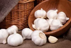 Benarkan, Khasiat Bawang Putih Dapat Mencegah Kanker?