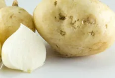 Rahasia Kulit Glowing Alami? Intip Keajaiban Bengkuang!