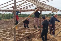 Kelompok Tani Tiga Serangkai Klaim Kembali Lahan MHBM, PT MHP Tegaskan Areal Kawasan Hutan Negara