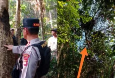  Tim BKSDA Temukan Sarang dan Jejak Beruang di Musi Rawas, Kapolres Imbau Warga Tak Masuk Hutan