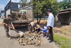Sinergi Lintas Sektor, Pemkab Muba dan Perusahaan Swasta Gotong Royong Perbaiki Jalan Nasional di Sanga Desa
