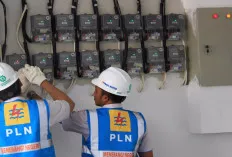 Beneran Loh, Awal Tahun 2025 Ada Diskon 50 Persen Tarif Listrik 