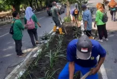 Lakukan Perbaikan Median Jalan Protokol 