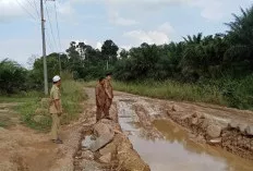 Camat Sanga Desa Gandeng Perusahaan Perbaiki Jalan Rusak