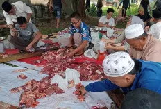 PWI Muba Potong 3 Ekor Sapi, Tebar Kepedulian di Hari Raya Idul Adha