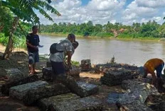 Musim Hujan, Petani Kesulitan Tampung Getah Karet