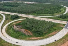 Tol Palembang-Betung Dikebut, Progres Konstruksi Capai 81,99 Persen per April 2026