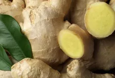 5 Manfaat Utama Jahe yang Perlu Anda Ketahui