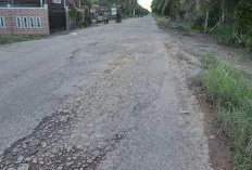 Akses Jalan Keluang-Sungai Lilin Makin Banyak Kerusakan, Butuh Perbaikan 