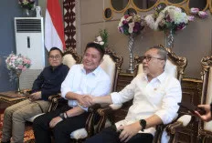 Transformasi Lahan Rawa di Sumatera Selatan Tuai Pujian Menko Bidang Pangan