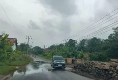Akses Jalinteng di Kecamatan Lais Tergenang Air, Perlu Dibangun Box Culvert