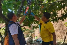  Pria di Lubuklinggau Ditemukan Tewas Gantung Diri di Pohon Kakao