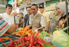 Ratu Dewa Memastikan Stok dan Harga Sembako Stabil