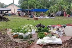 Satu Bulan Beroperasi, Pasar Kalangan di Keban II Muba Langsung Ramai Pengunjung 