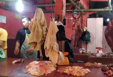 Ada Apa Ya? Petugas Kesmavet OKI Periksa Daging Sapi dan Ayam di H-3 Lebaran