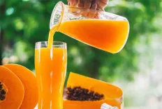 Bosan dengan Jus yang Itu-itu Saja? Coba Jus Pepaya dengan Varian Rasa Ini!
